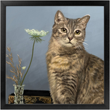 Oil Painting Style Framed Prints