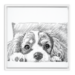 Sketch Style Framed Canvas Wraps