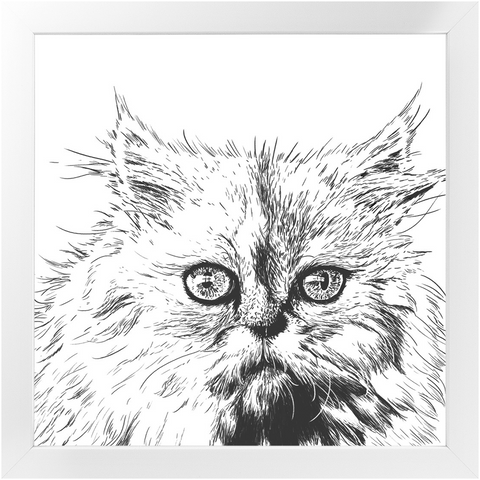 Sketch Style Framed Prints