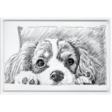 Sketch Style Framed Canvas Wraps