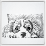 Sketch Style Framed Canvas Wraps