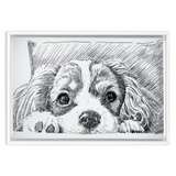 Sketch Style Framed Canvas Wraps