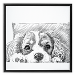 Sketch Style Framed Canvas Wraps