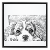 Sketch Style Framed Canvas Wraps