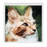 Watercolor Style Framed Canvas Wraps