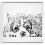 Sketch Style Framed Canvas Wraps