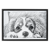 Sketch Style Framed Canvas Wraps